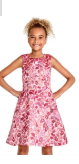Girls Sleeveless Pink Metallic Jacquard Woven Dress