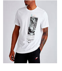 Men's Nike Dri-FIT LeBron Lion Strive T-Shirt