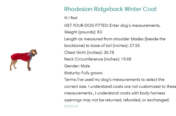 Rhodesian Ridgeback Winter coat M red 
